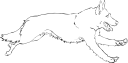 Pet Clipart