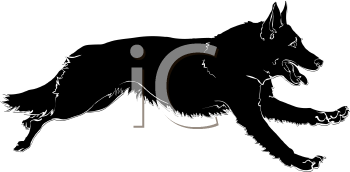 Pet Clipart