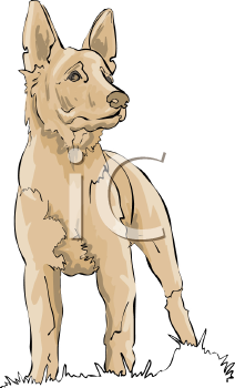 Pet Clipart