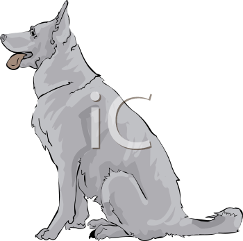 Pet Clipart