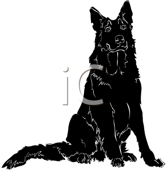 Pet Clipart