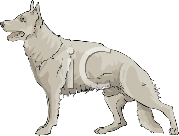 Pet Clipart