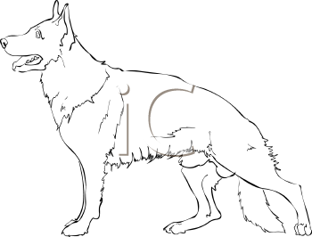 Pet Clipart