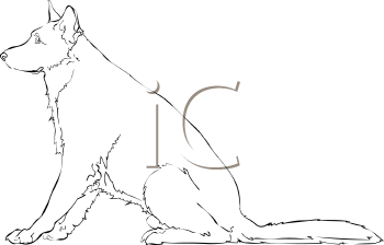 Pet Clipart