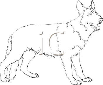 Pet Clipart