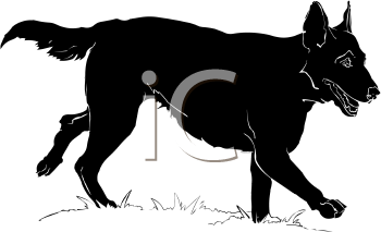 Pet Clipart