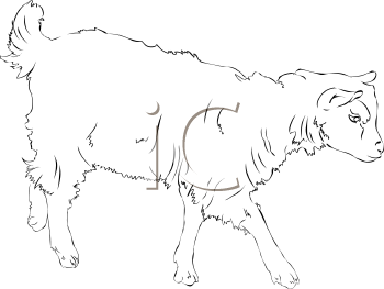 Farm Animal Clipart