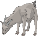 Farm Animal Clipart