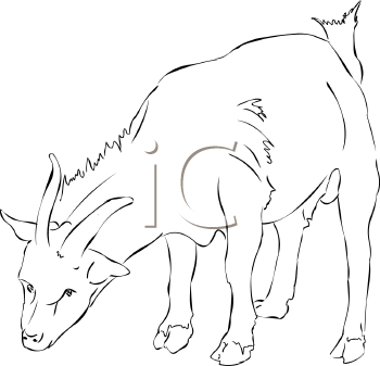 Farm Animal Clipart