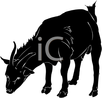 Farm Animal Clipart