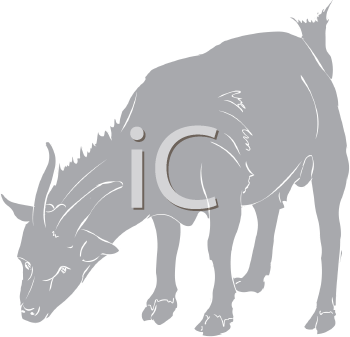 Farm Animal Clipart