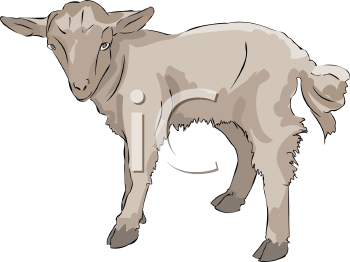 Farm Animal Clipart