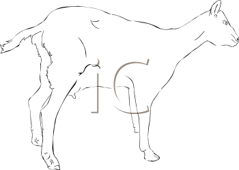 Farm Animal Clipart