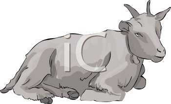 Farm Animal Clipart