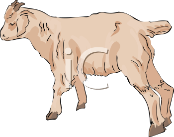 Farm Animal Clipart