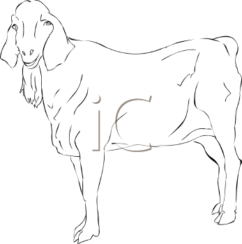 Farm Animal Clipart
