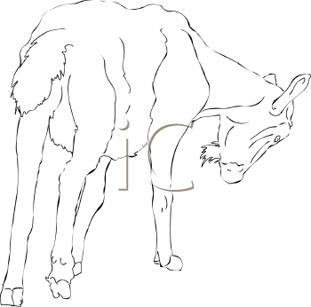 Farm Animal Clipart