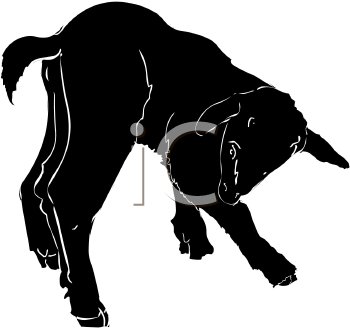 Farm Animal Clipart