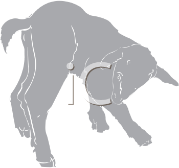 Farm Animal Clipart