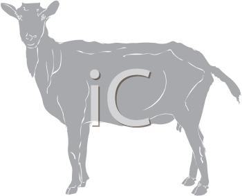 Farm Animal Clipart