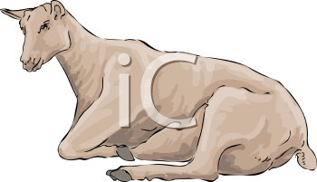 Farm Animal Clipart