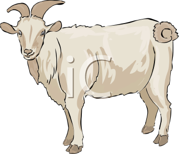 Farm Animal Clipart