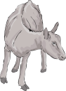 Farm Animal Clipart