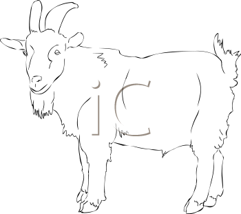 Farm Animal Clipart