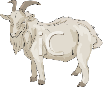 Farm Animal Clipart