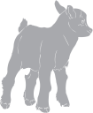 Farm Animal Clipart
