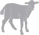 Farm Animal Clipart