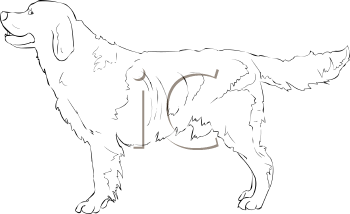 Pet Clipart