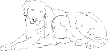 Pet Clipart