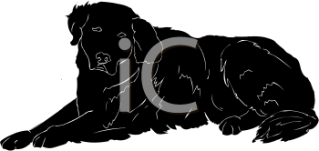 Pet Clipart
