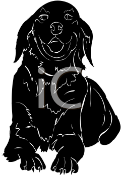 Pet Clipart