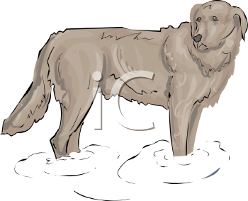 Dog Clipart