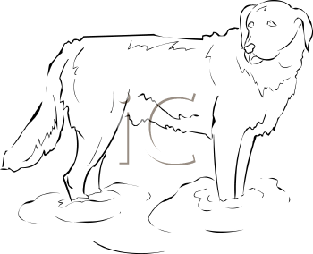 Dog Clipart