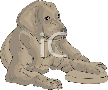 Dog Clipart