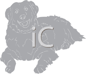 Pet Clipart