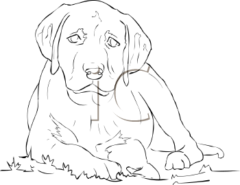 Dog Clipart
