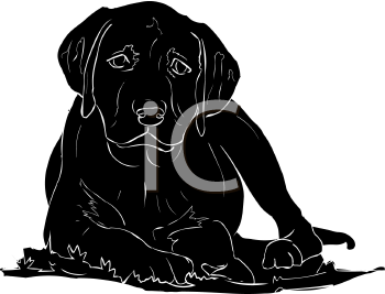 Pet Clipart