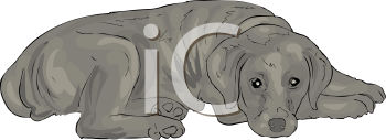 Pet Clipart