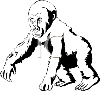 Primate Clipart
