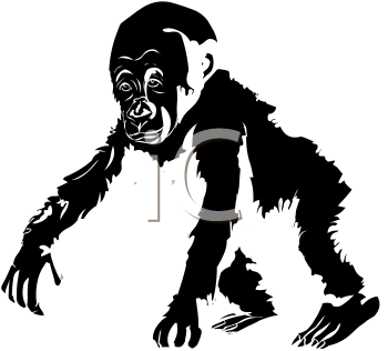 Primate Clipart