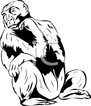Primate Clipart