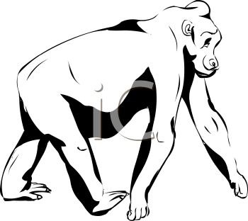 Primate Clipart