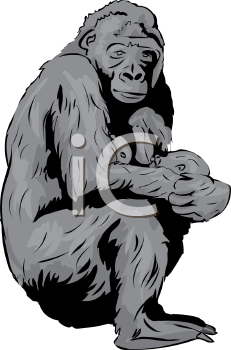 Primate Clipart