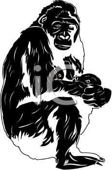 Primate Clipart