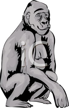 Primate Clipart