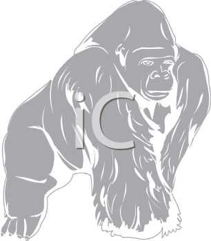 Primate Clipart